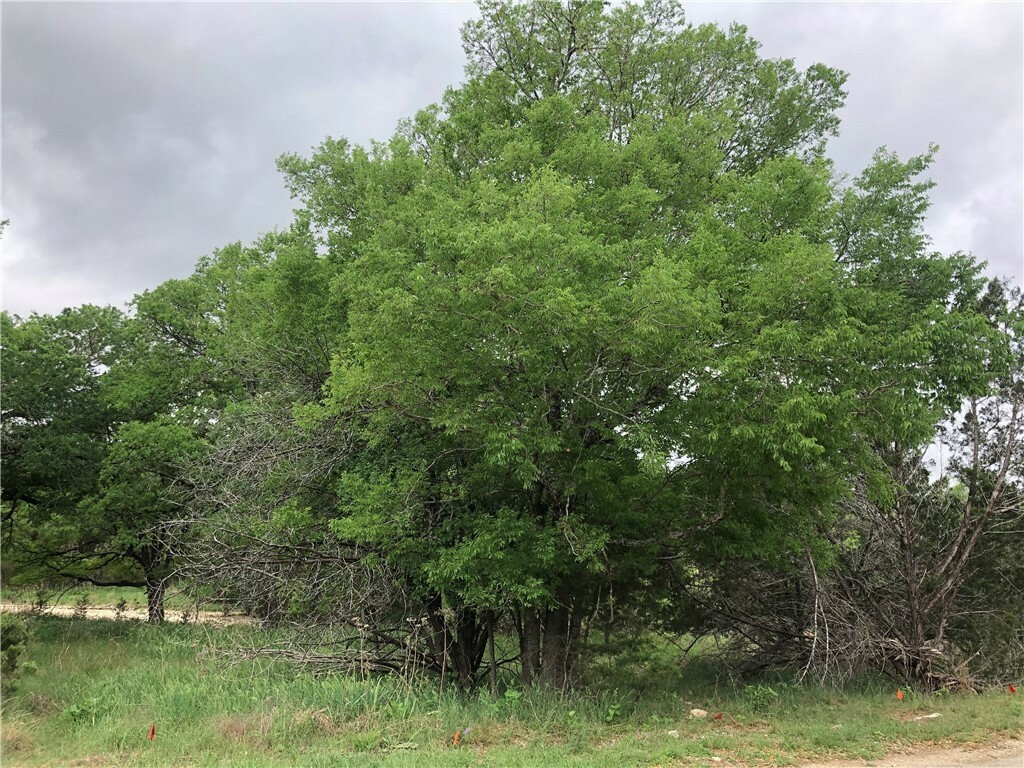 Property Photo:  Lot 76 E Valley Spring Road  TX 78676 