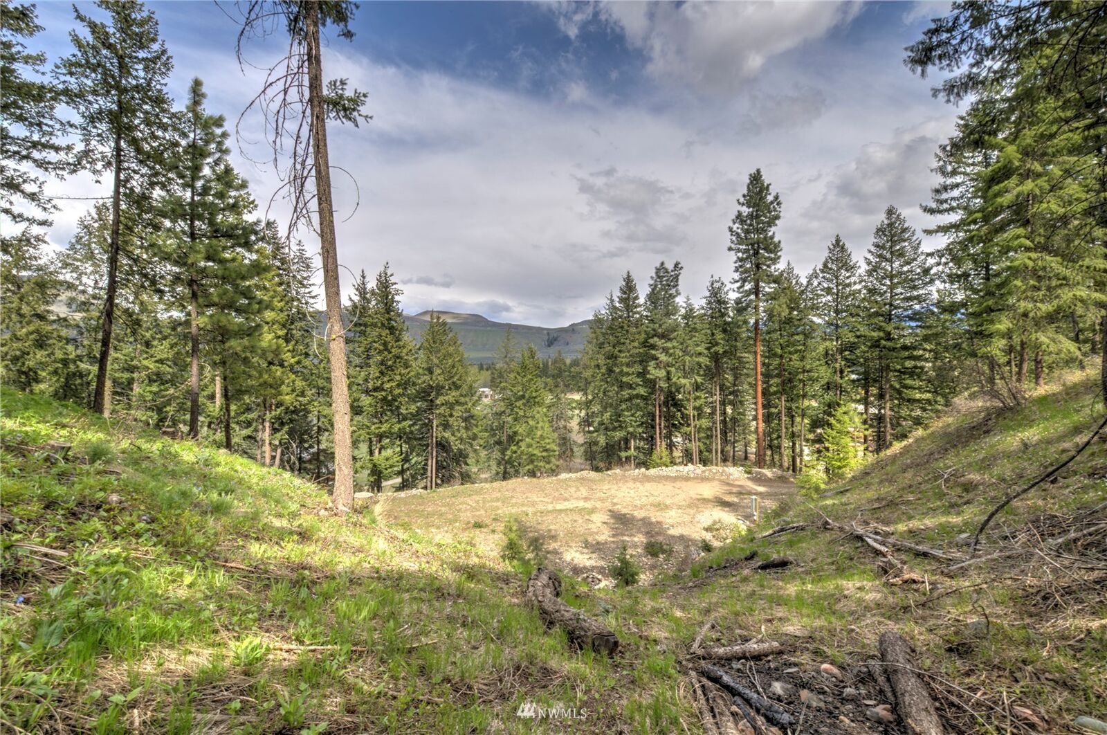 Property Photo:  407 Wolf Creek Road  WA 98862 