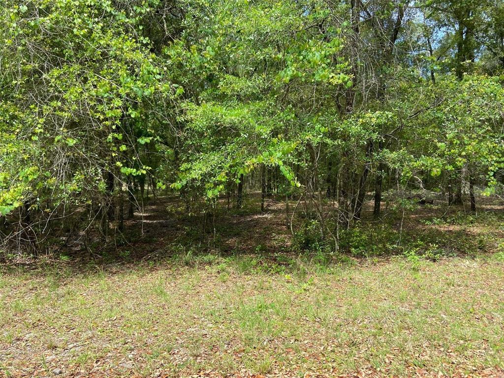 Property Photo:  Lot 6 SW 83 Rd Pl  FL 34431 