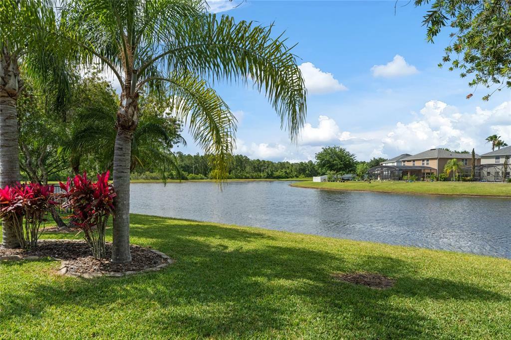 Property Photo: 2056 Cascades Cove Drive FL 32820