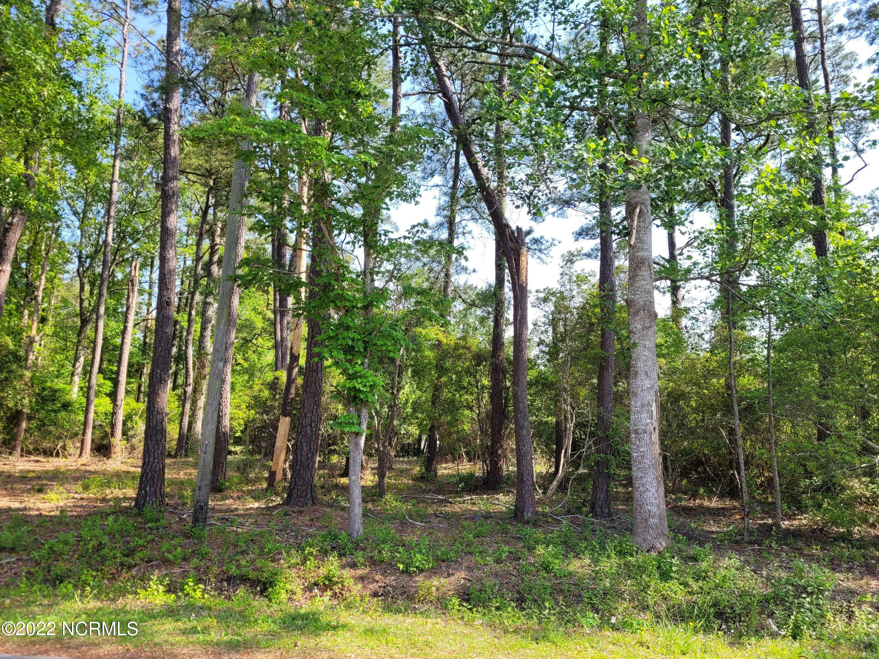 Property Photo:  1213 Charles Street SW  NC 28462 