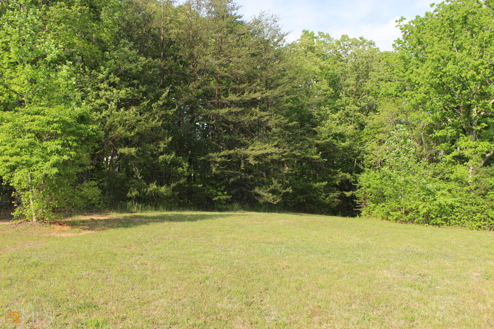301 Sun Valley Drive  Mineral Bluff GA 30559 photo
