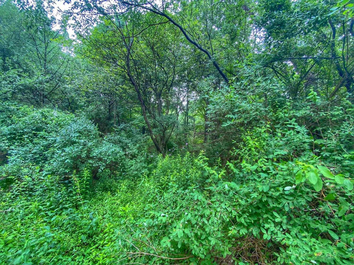 Property Photo: 0 Lot 7 Collins Road NY 13068