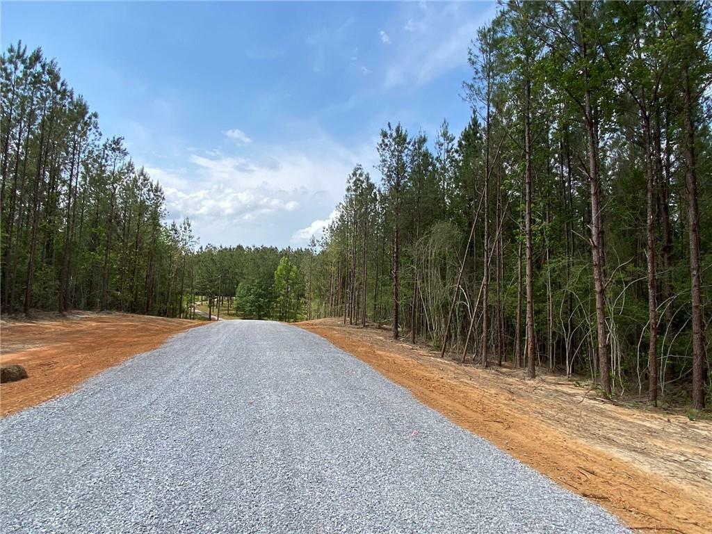 Lot 30 Erin Lane  Franklinton LA 70438 photo