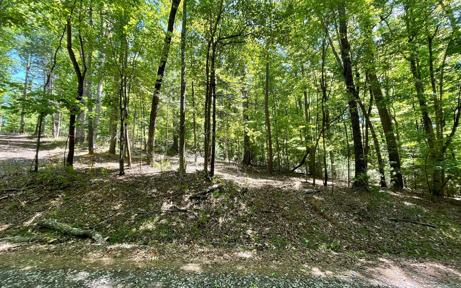 Property Photo:  2565 Parnell Drive  GA 30540 
