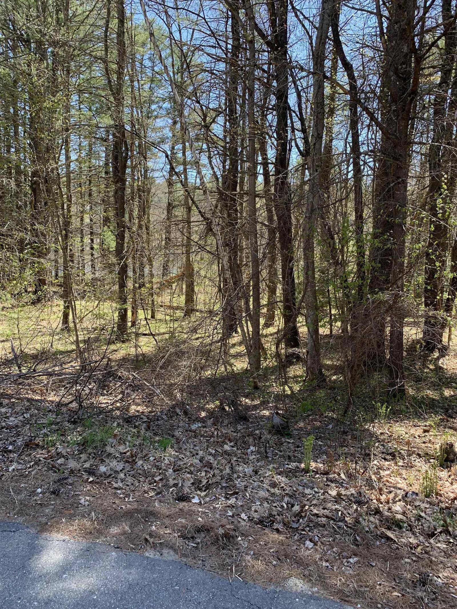 Property Photo:  Lot 19 Winant Road  NH 03263 
