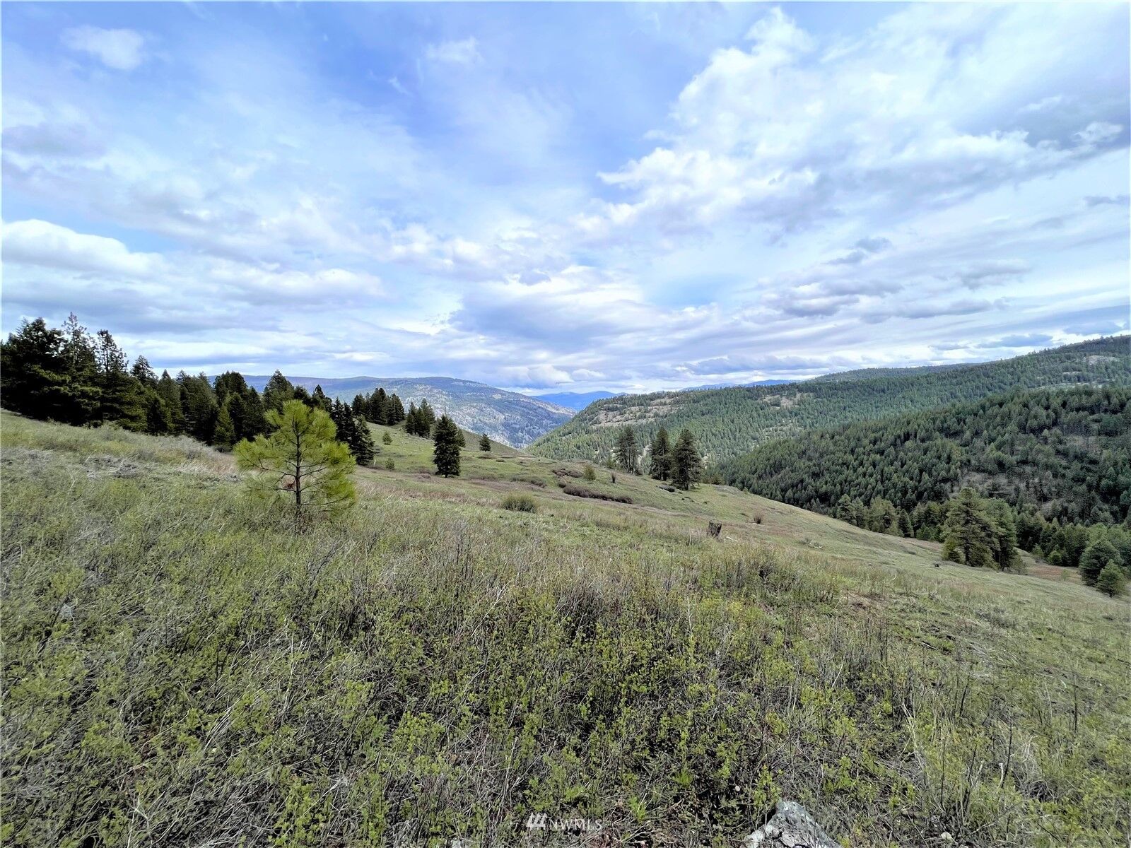 Property Photo:  0 Tbd Bamber Creek Road  WA 99118 