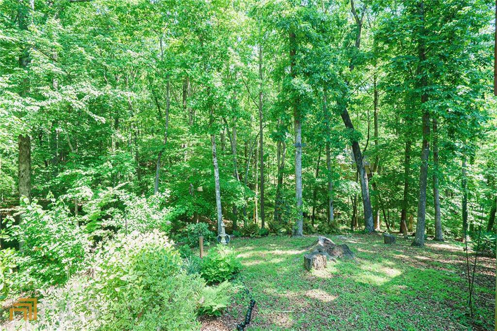 Property Photo: 120 Boxelder Lane GA 30076