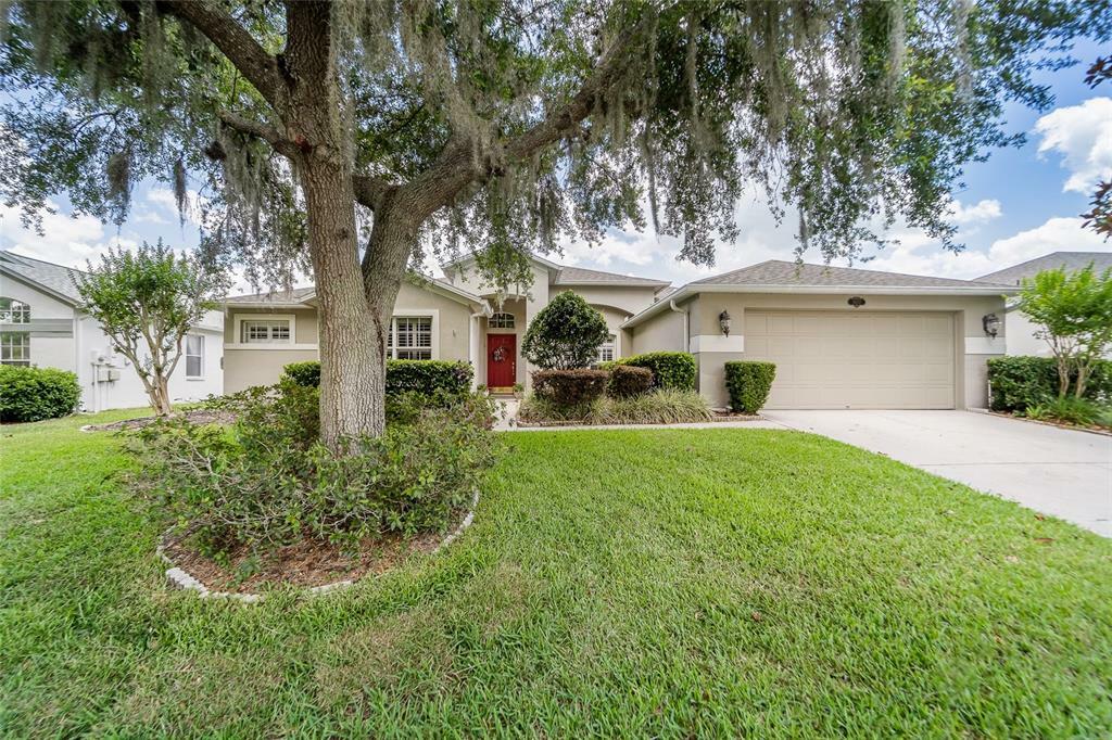 Property Photo:  19817 Wyndham Lakes Drive  FL 33556 