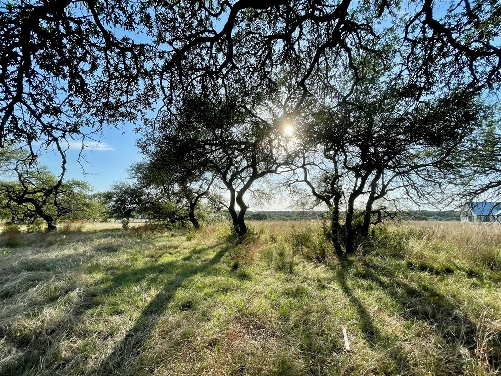 Property Photo:  Lot 9 Medlin Creek Loop  TX 78620 