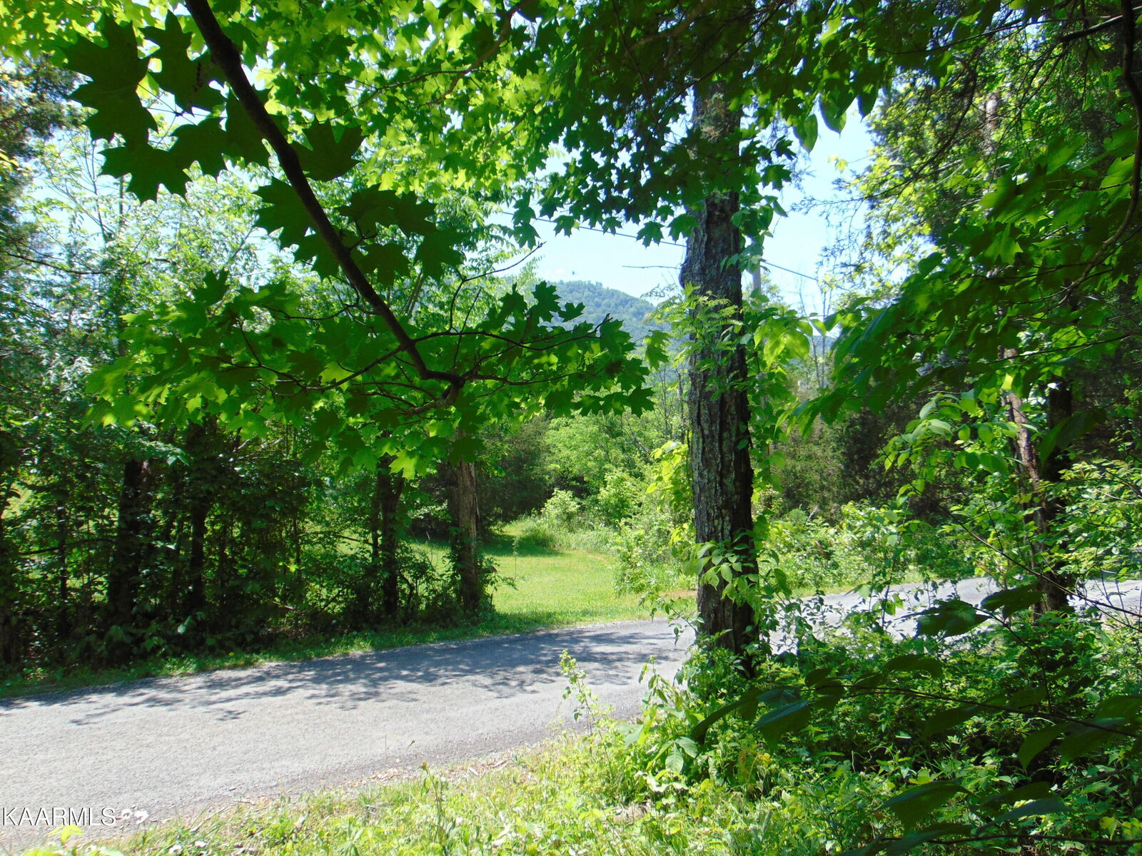 Property Photo:  5.36ac County Road 468  TN 37329 