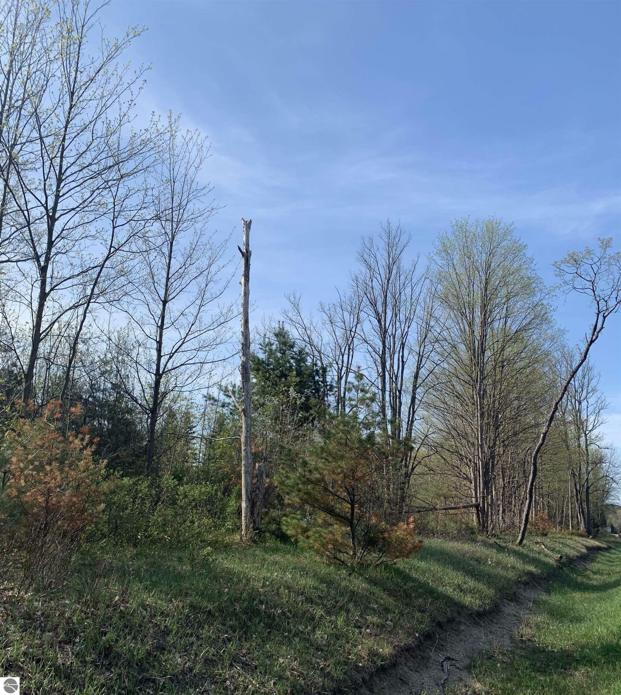 Property Photo: 7271 US-131, NE MI 49659