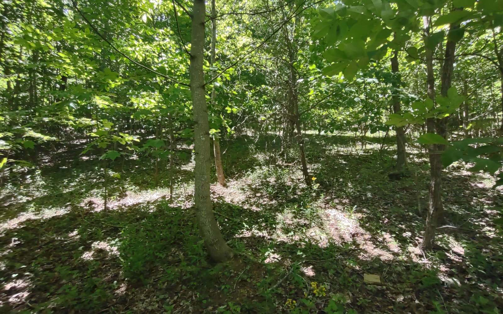 Lot 9 Meadow Loop  Ellijay GA 30540 photo