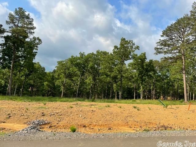 Orchard Hill Lot 4 Ph 2  Conway AR 72034 photo