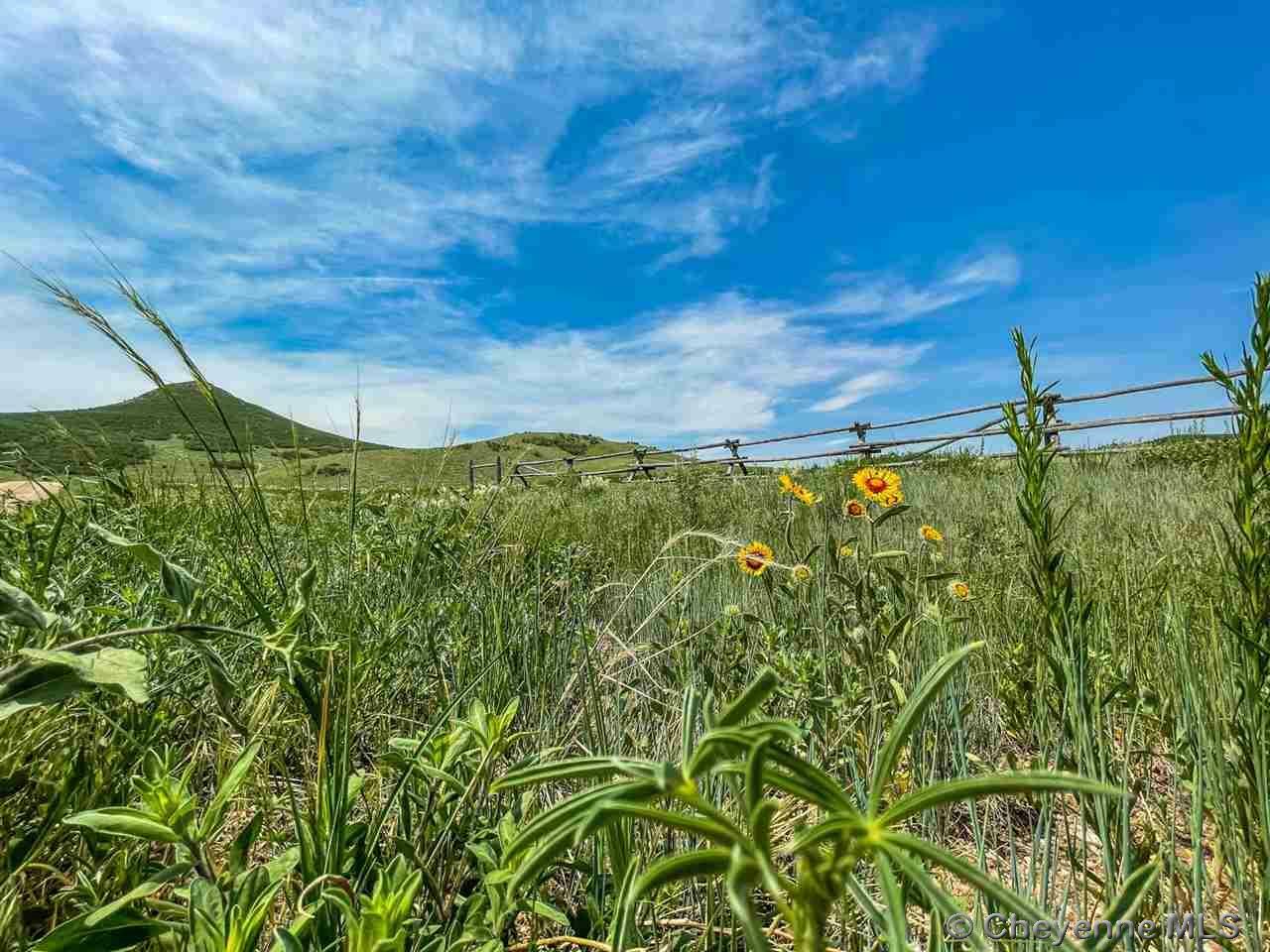 Property Photo:  Tr 220 Mountain View Loop  WY 82009 