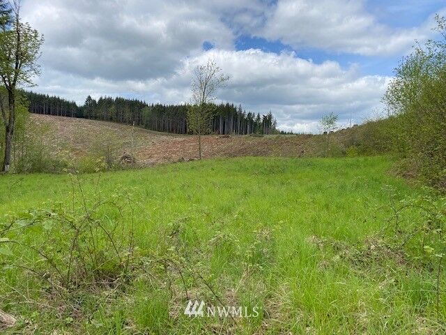 Property Photo: 0 Buckhorn Road WA 98596