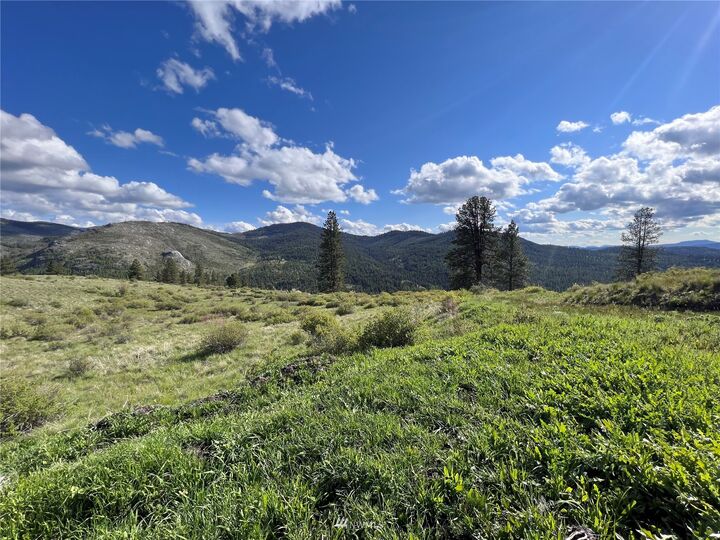 Property Photo:  0 Lot 35 Wildman Road  WA 99166 