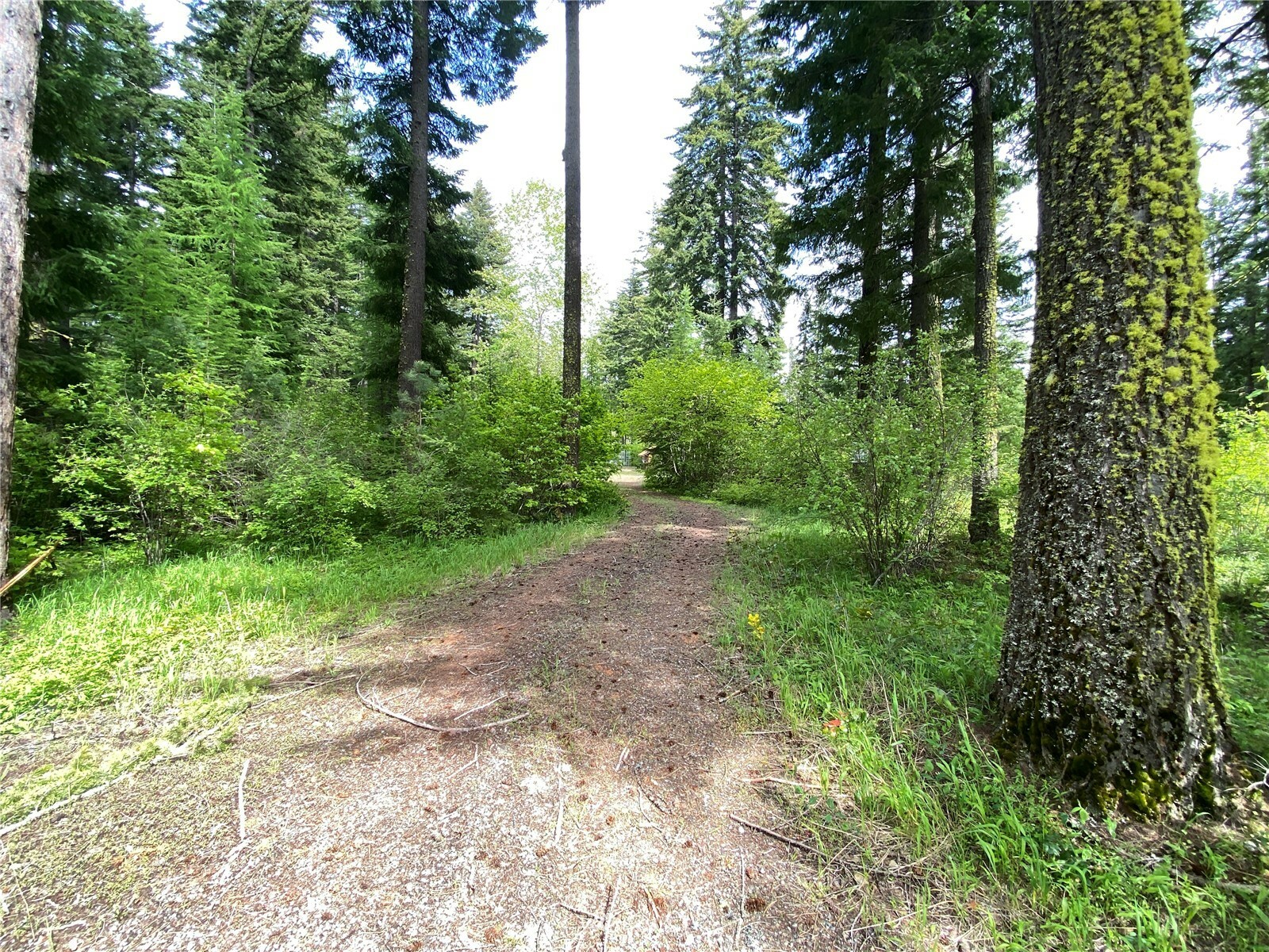 Property Photo:  10771 Westside Road  WA 98922 