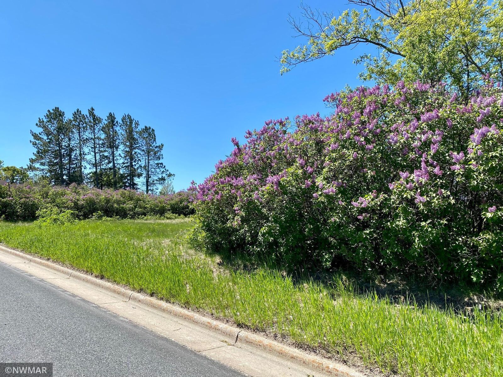 Property Photo:  Tbd Lake Avenue NE  MN 56601 