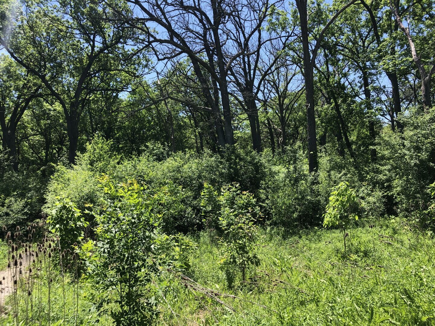 Property Photo:  14573 W Everett Road  IL 60045 