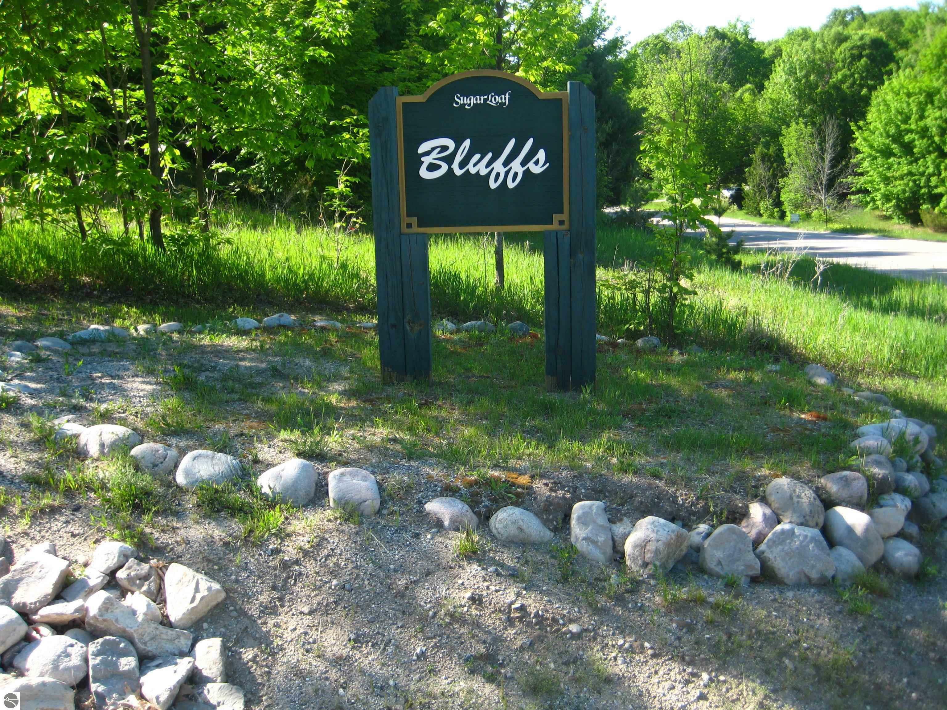 Property Photo:  Lot 22 S Bluff Lane  MI 49621 