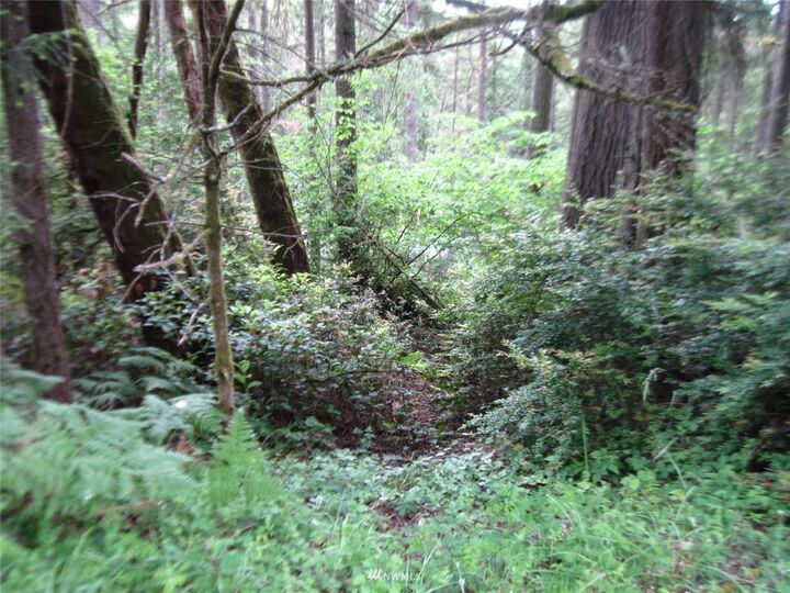 Property Photo: 11515 Breaker Way WA 98303