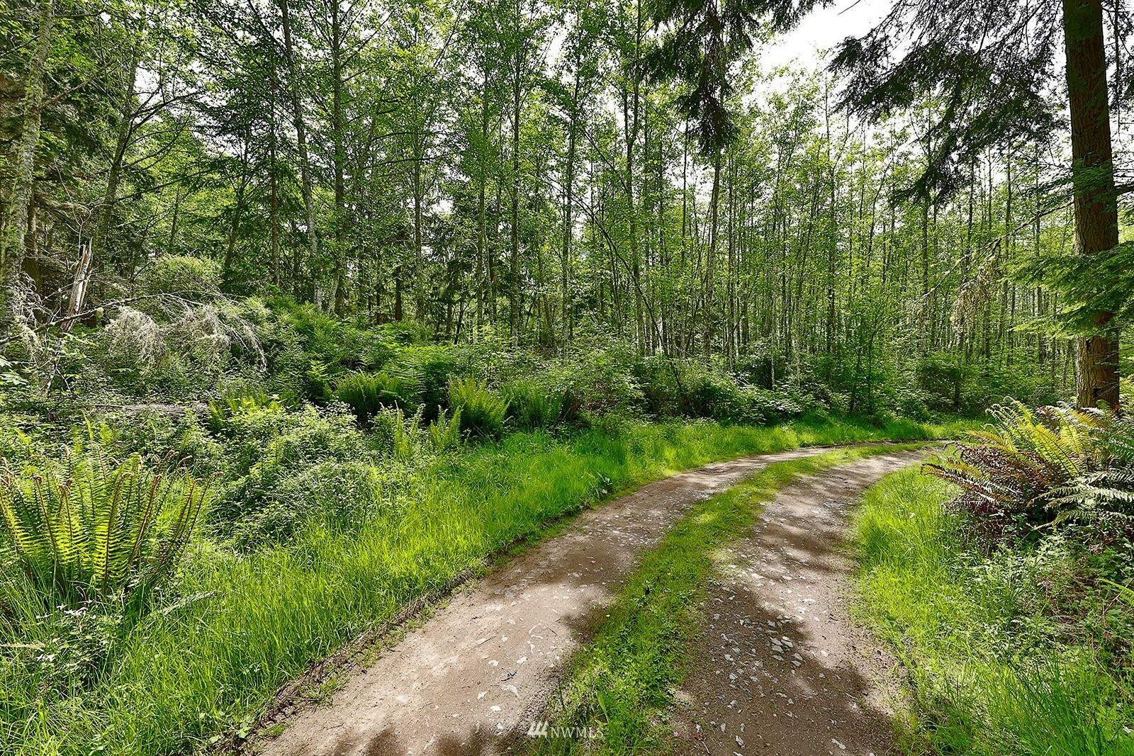 Property Photo:  0 Lot 0 Alder View Lane  WA 98253 