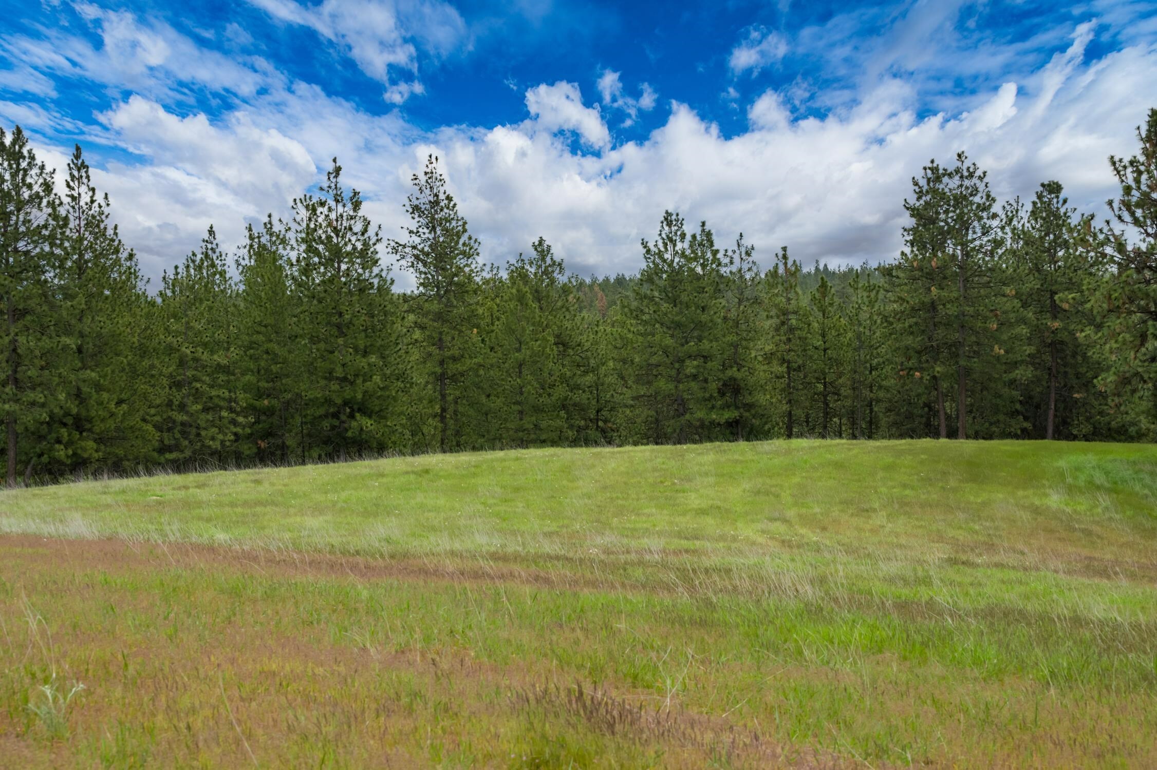 Property Photo:  10127 S Cedar Rd  WA 99224 