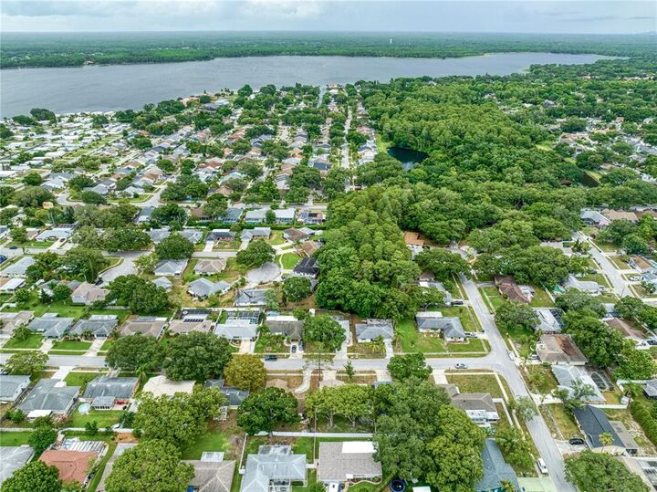 Property Photo: 3230 Spanish Moss Lane FL 34684