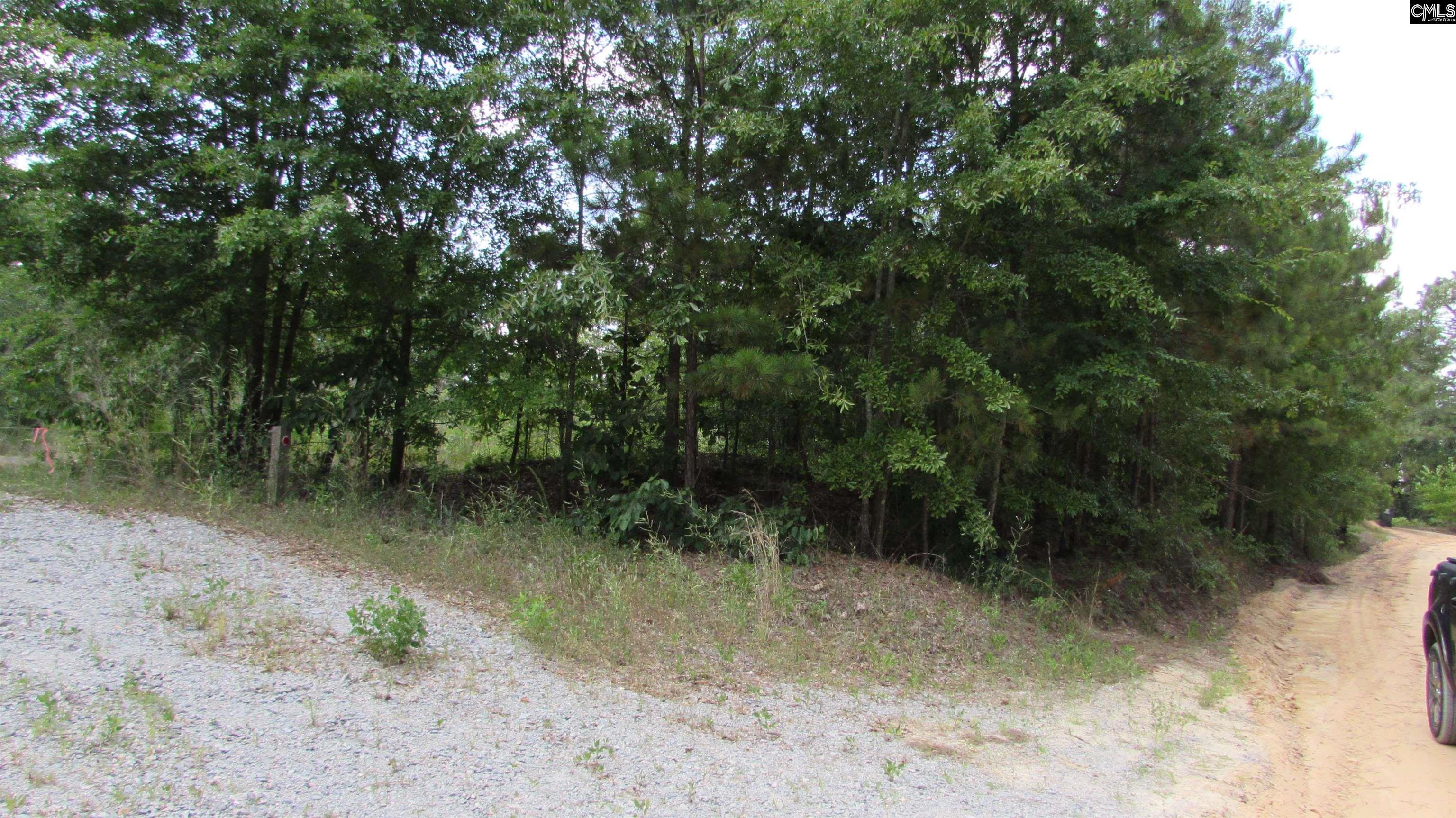 Property Photo: 260 Patriot SC 29072