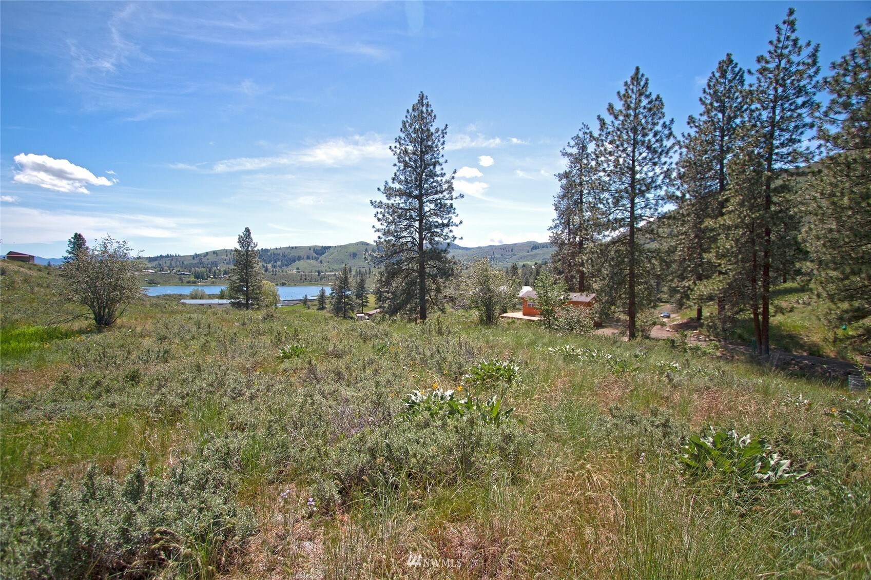 Property Photo:  11 Mertensia Road  WA 98862 