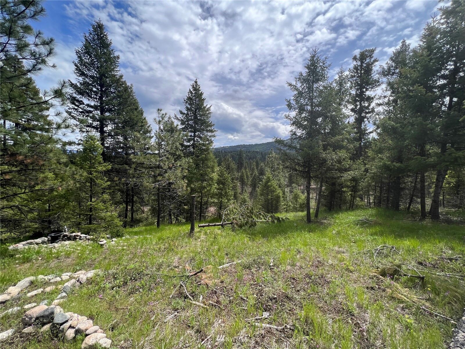 Property Photo:  0 Tbd White Tail Flats Road  WA 99166 