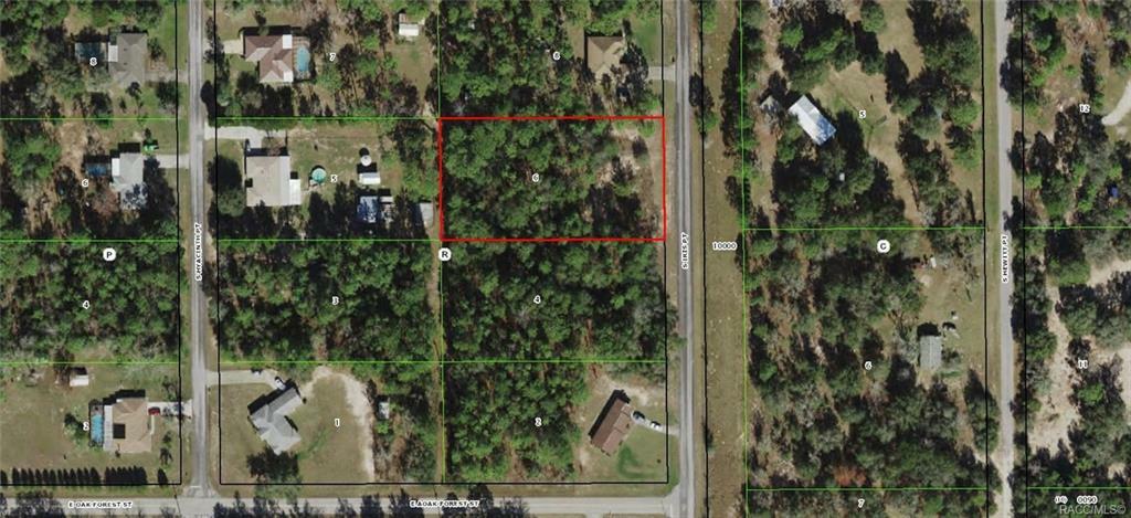 Property Photo:  12298 S Iris Point  FL 34436 