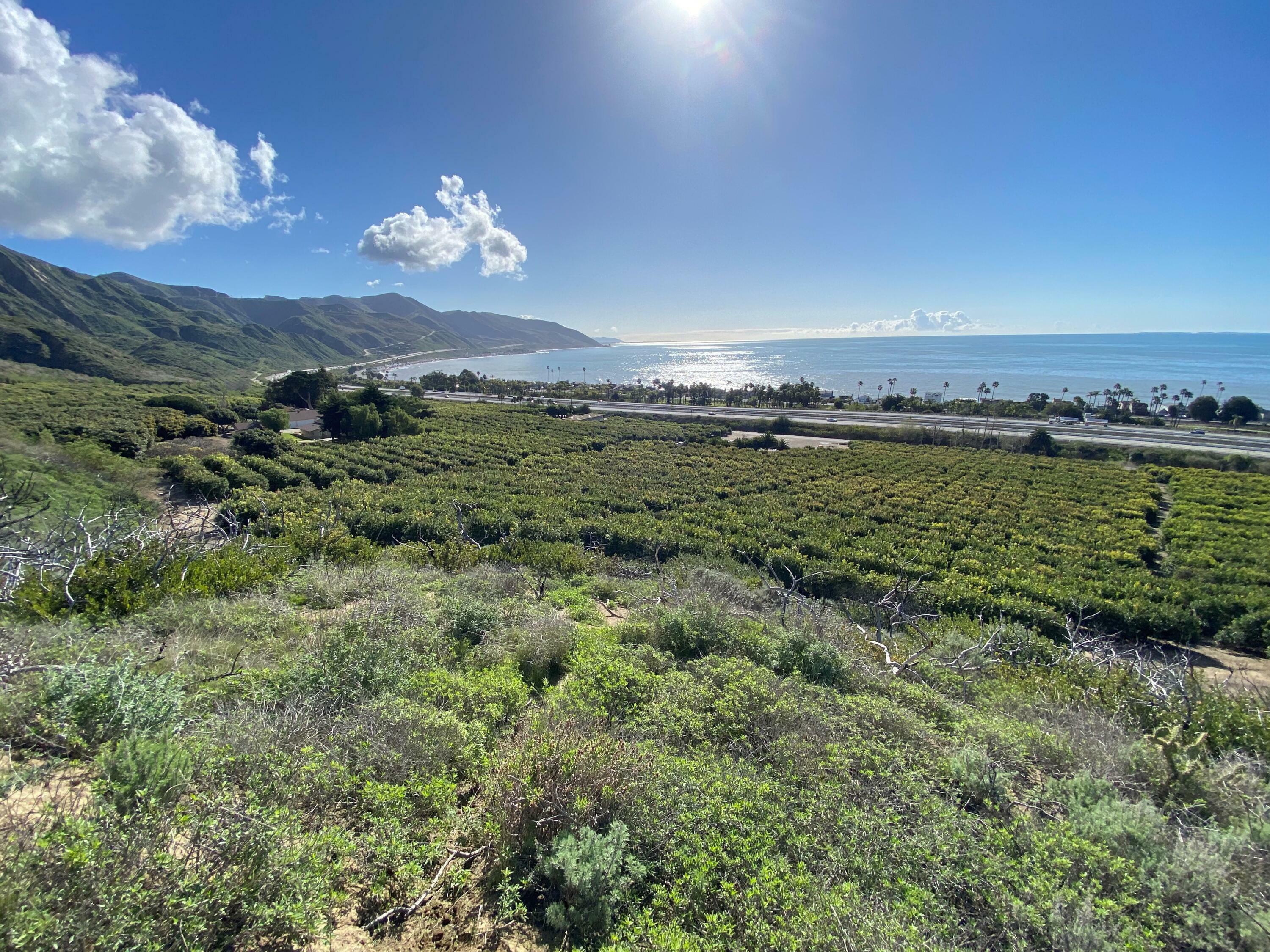 Property Photo: 3945 Pacific Coast Highway CA 93001