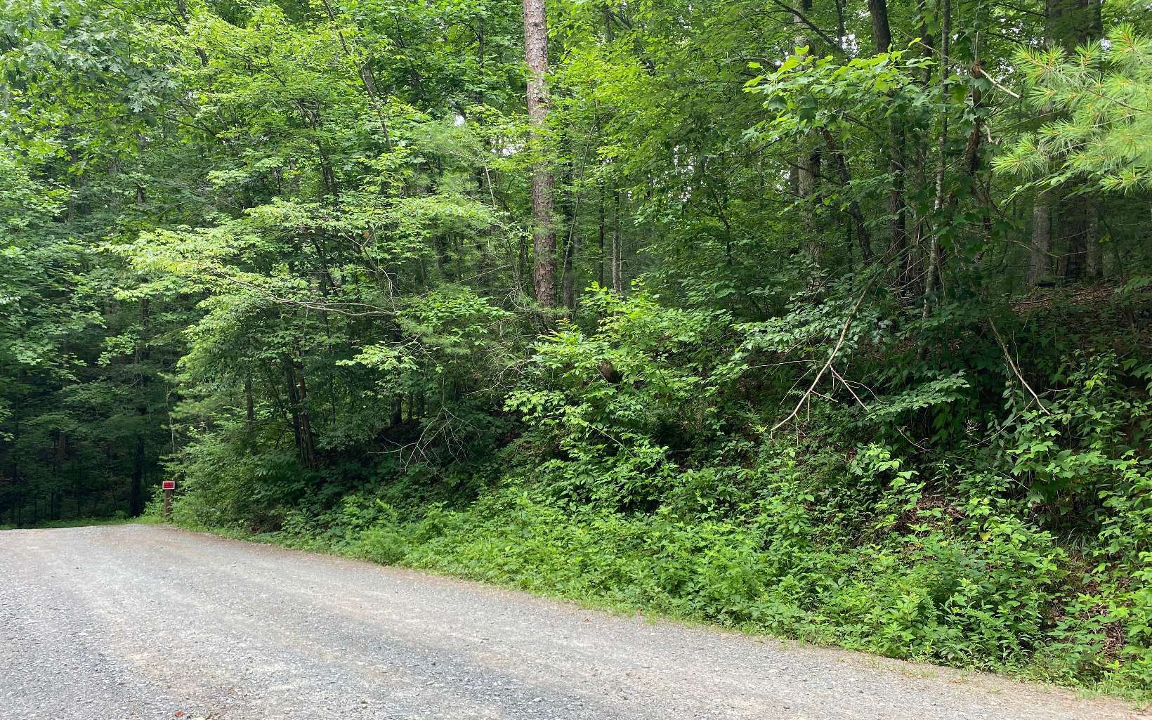 Property Photo: Graham Ct Lot 3770 GA 30540