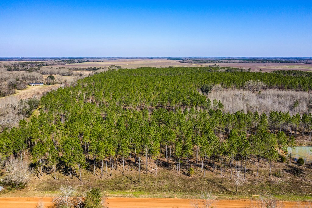 Property Photo:  Ll 95/98 Murphy Road  GA 31763 