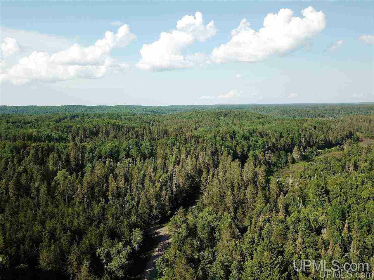 Property Photo:  Tbd Lower Dam Rd  MI 49967 