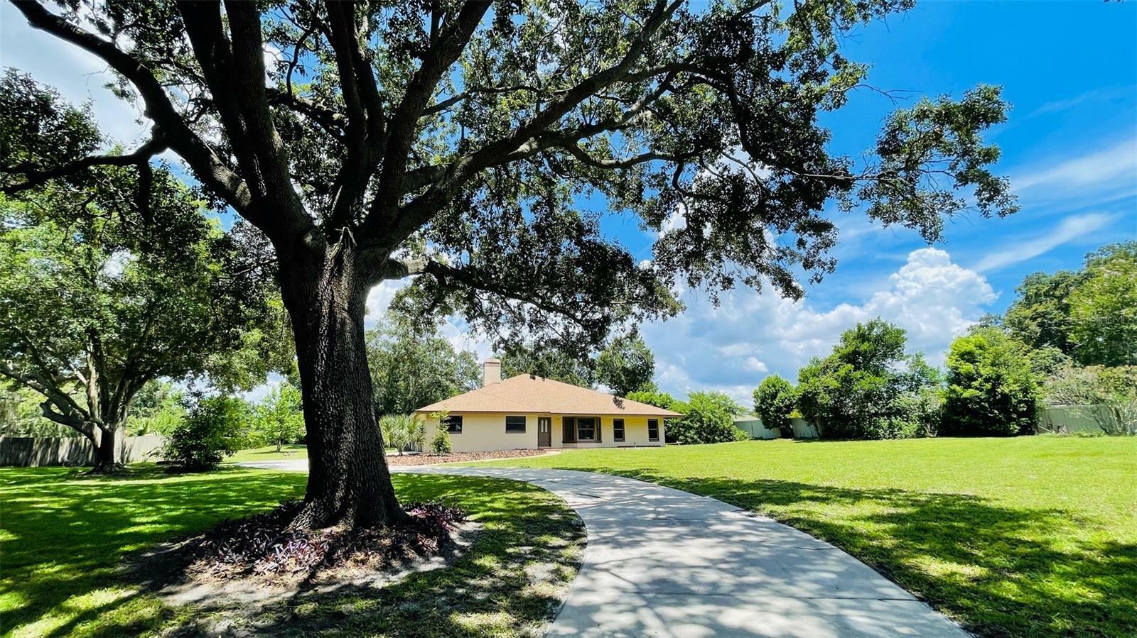 Property Photo:  3443 Wild Myrtle Court  FL 34786 