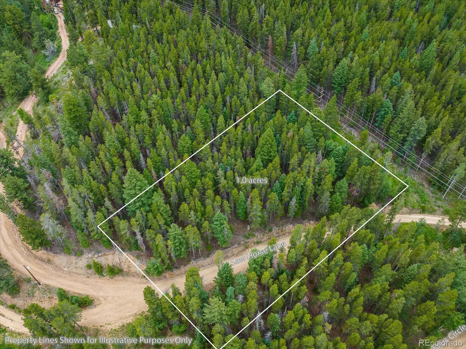 Property Photo: Saw Horse Lane CO 80422
