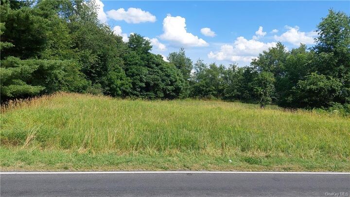 482 Forest Road  Wallkill NY 12589 photo