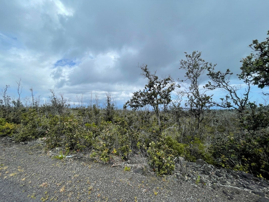 Property Photo:  Catamaran Ln  HI 96737 