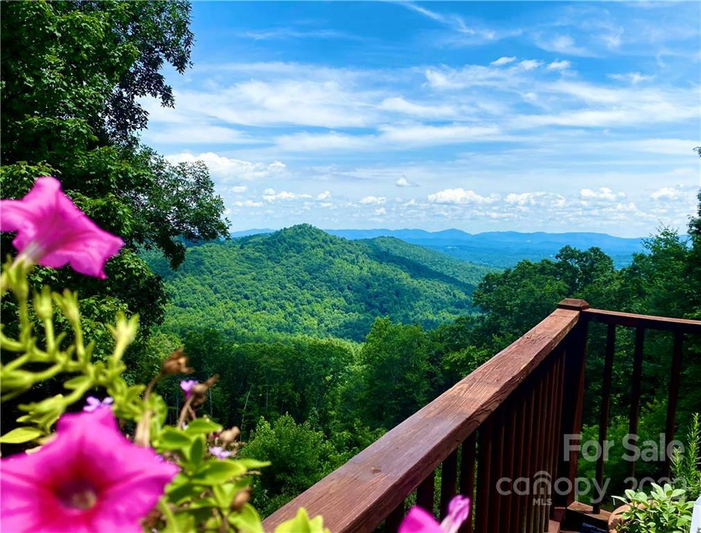 Property Photo:  2073 Buck Mountain Road  NC 28665 