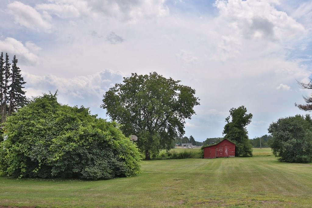 Property Photo: 2172 Route 22B NY 12901