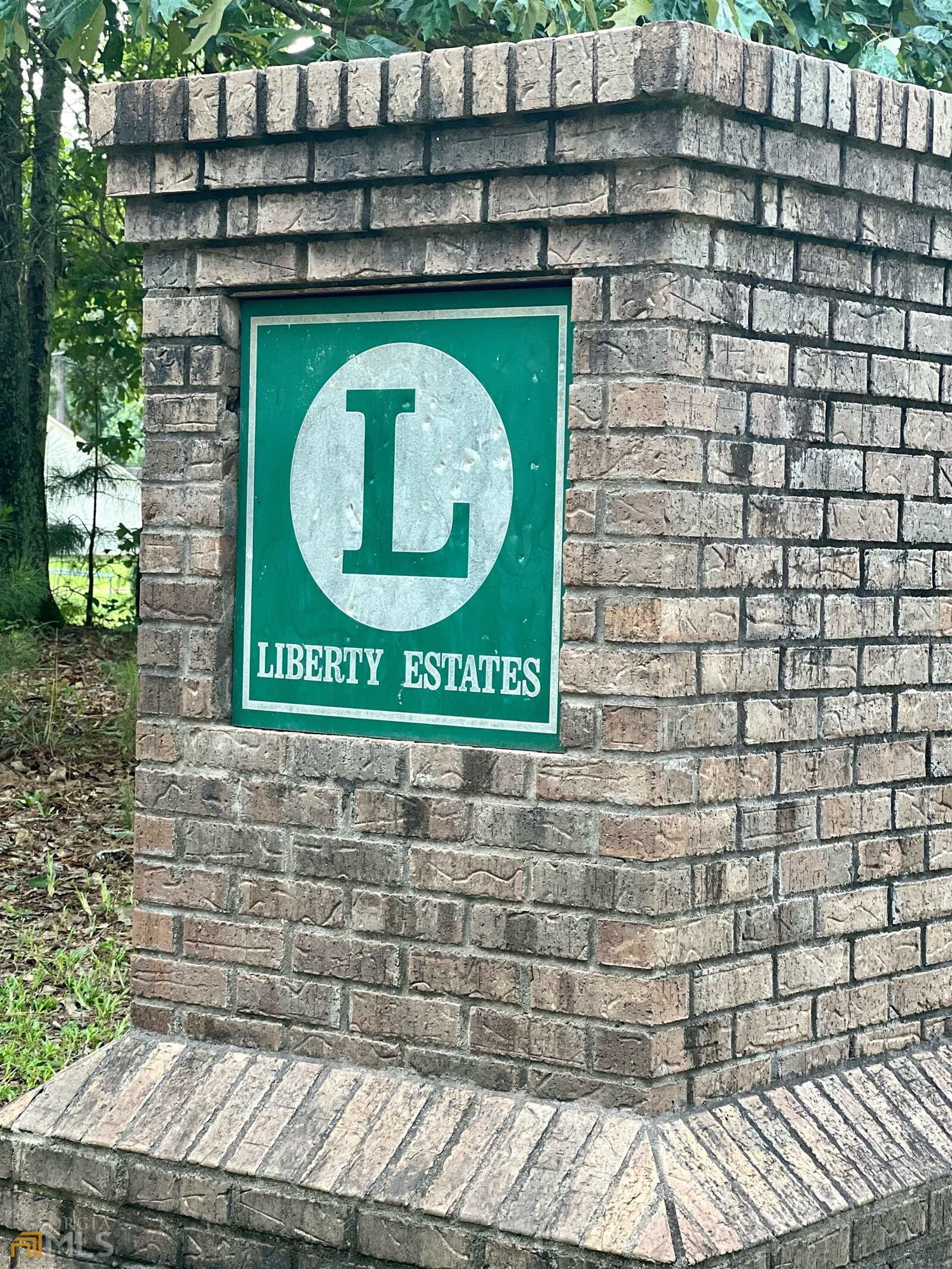 Property Photo:  224 Liberty Bell Lane  GA 30224 