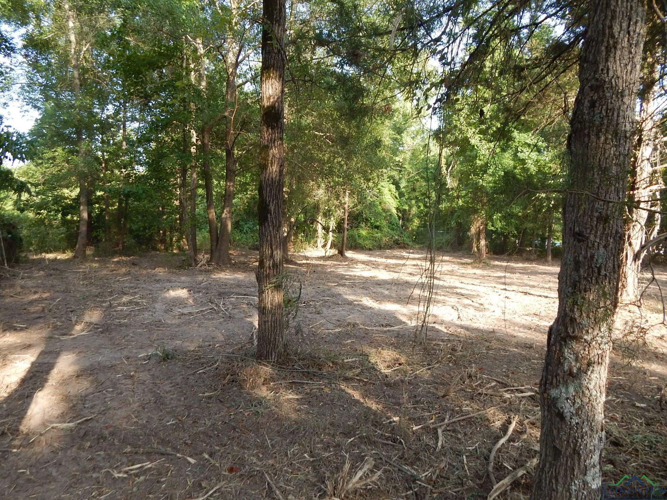 Property Photo:  Tbd Lot 1 &Amp 2 Woodchuck Lot 1  TX 75494 