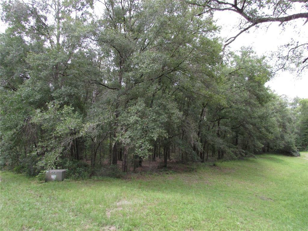 Property Photo:  Tbd SW 190th Court  FL 34432 