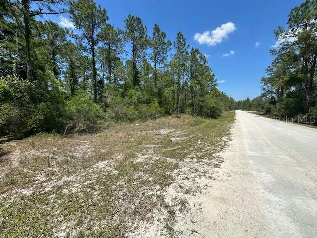 Tbd Otter Drive Lot 44  Webster FL 33597 photo