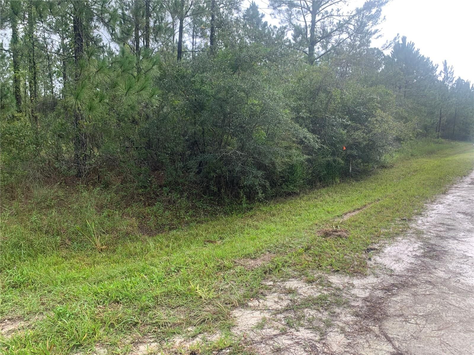 Property Photo: Tbd Otter Drive Lot 44 FL 33597