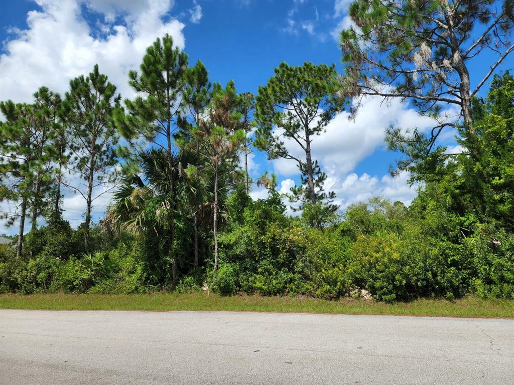 Property Photo:  2 Sea Green Path  FL 32164 