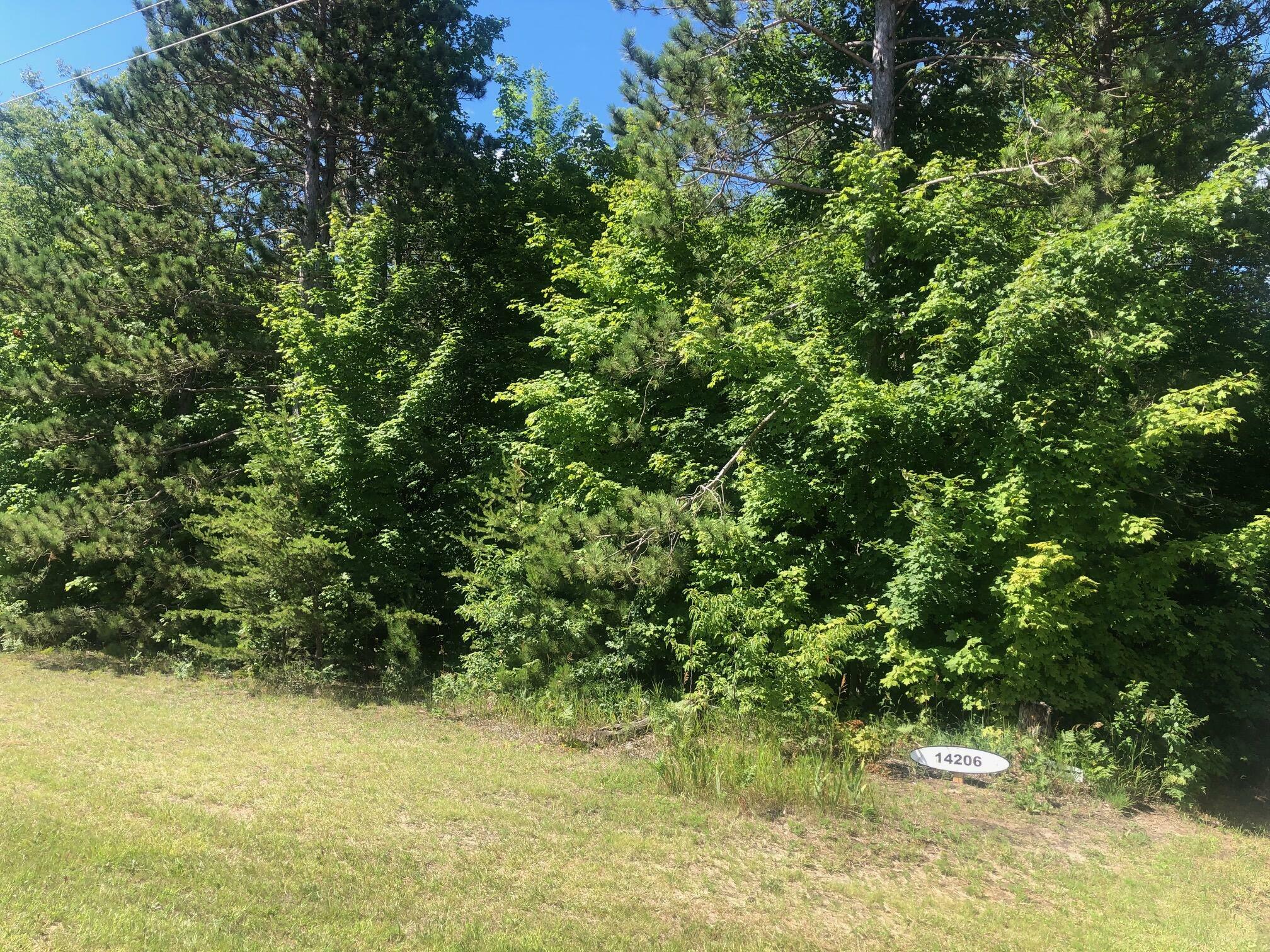 14206 Potter Rd  Kaleva MI 49645 photo